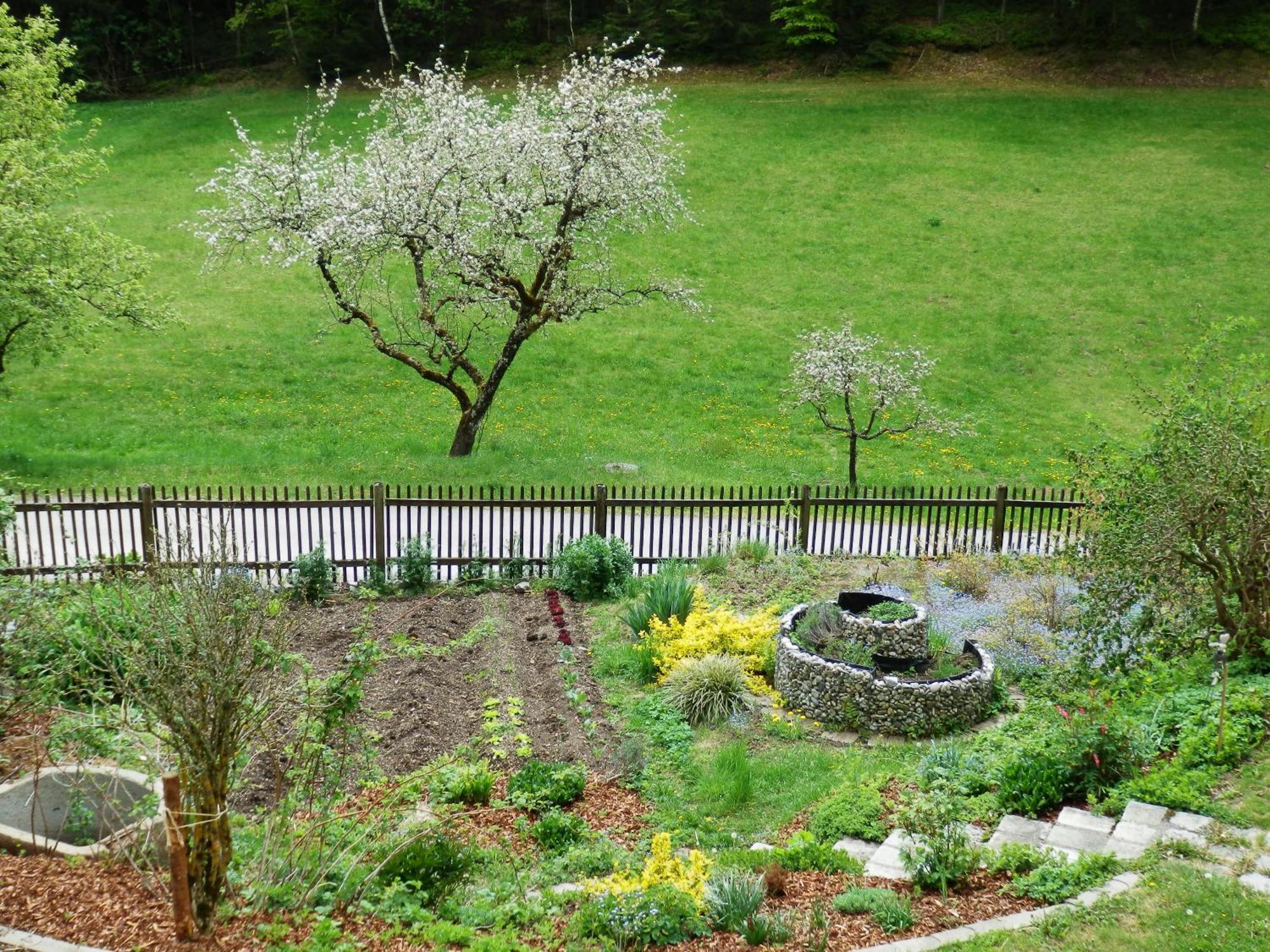 Naturoase Muehlviertel Sankt Johann am Wimberg Quarto foto